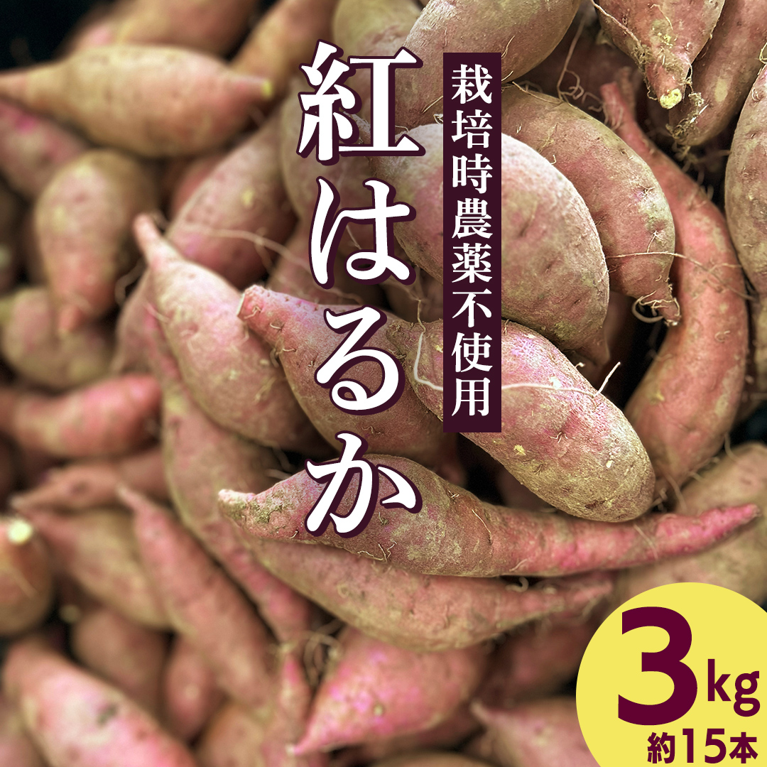 さつまいも 紅はるか 栽培期間中農薬不使用栽培 3kg 【2026年 11月以降発送】 (BJ008)