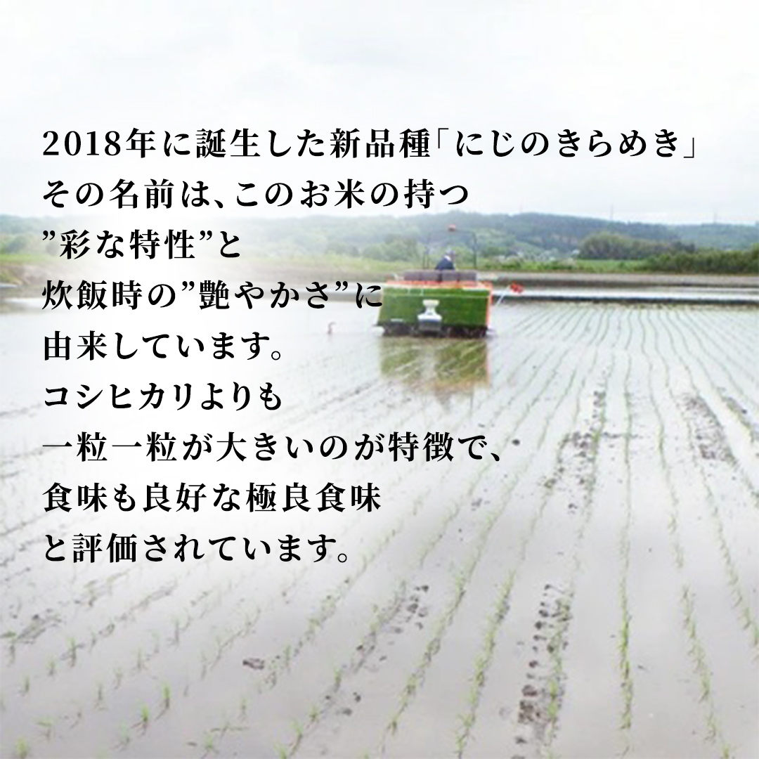 【令和8年産 先行予約】にじのきらめき 精米 15kg （5kg×3袋）2026年10月発送開始 (AX049)
