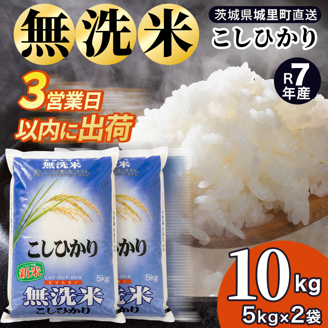 コシヒカリ 無洗米 10kg 令和7年産 スピード出荷 最短3〜7営業日出荷 (AX078)