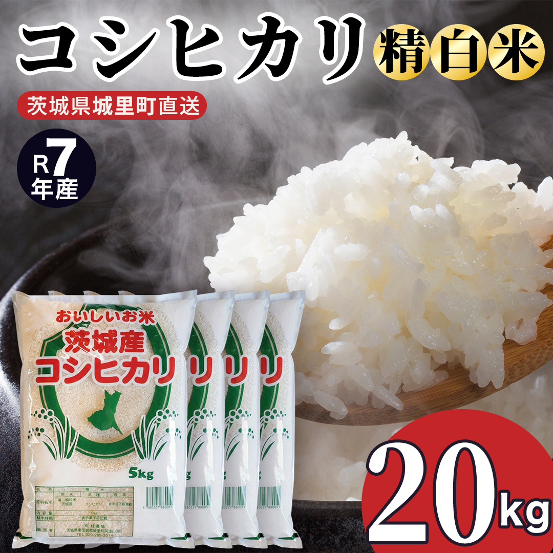 【令和7年産】 コシヒカリ 精米 20kg 令和7年産 スピード出荷 最短3～7営業日出荷 産地直送 茨城県 城里町 精白米 米 ご飯 こしひかり 米 白米 精米 (AX060)