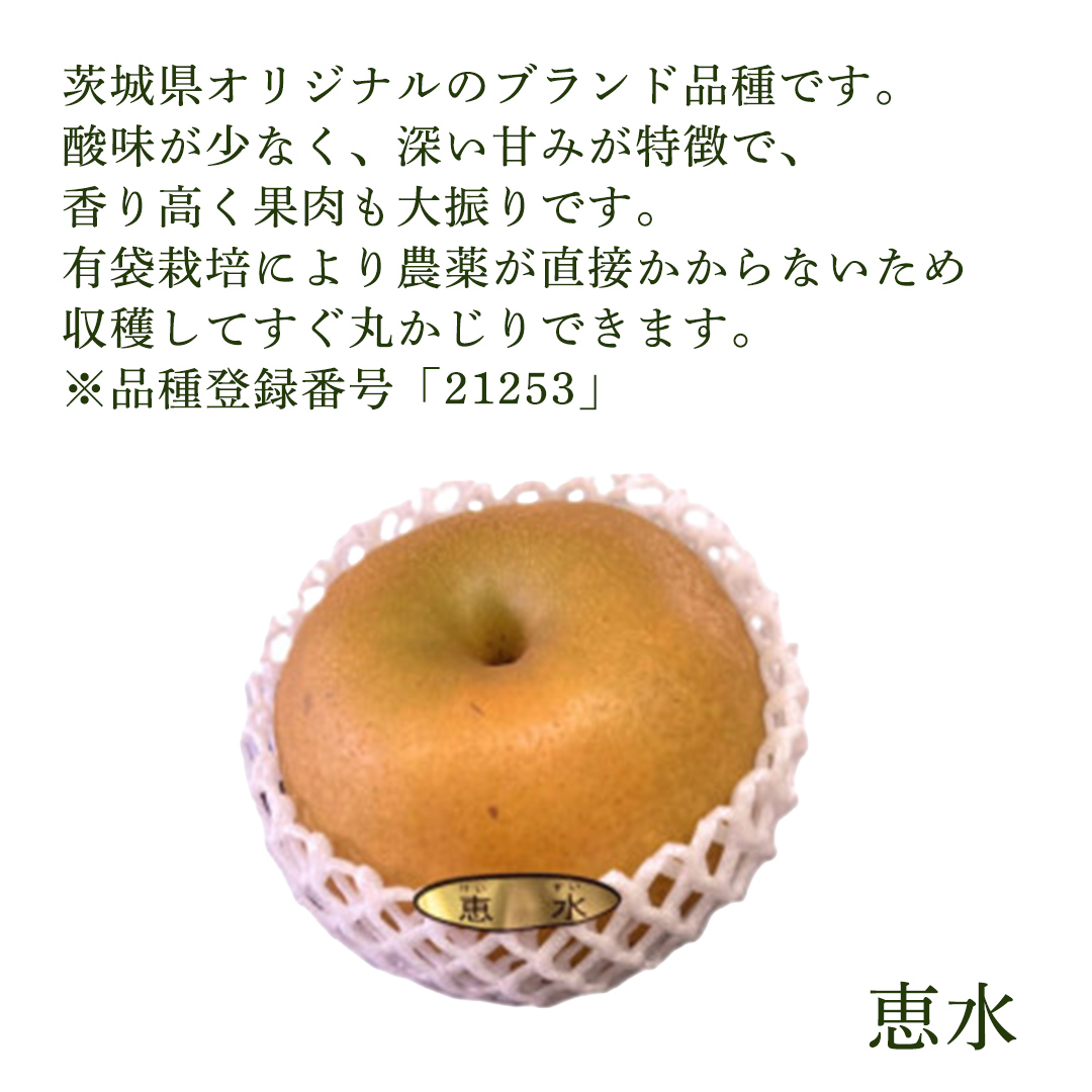 ＜農家直送＞梨 茨城県オリジナルブランド品種 恵水 大玉サイズ4～6個(約3kg)  (BB004)