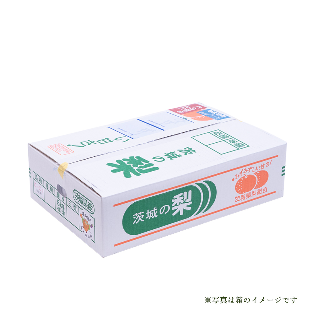 ＜農家直送＞梨 茨城県オリジナルブランド品種 恵水 大玉サイズ4～6個(約3kg)  (BB004)