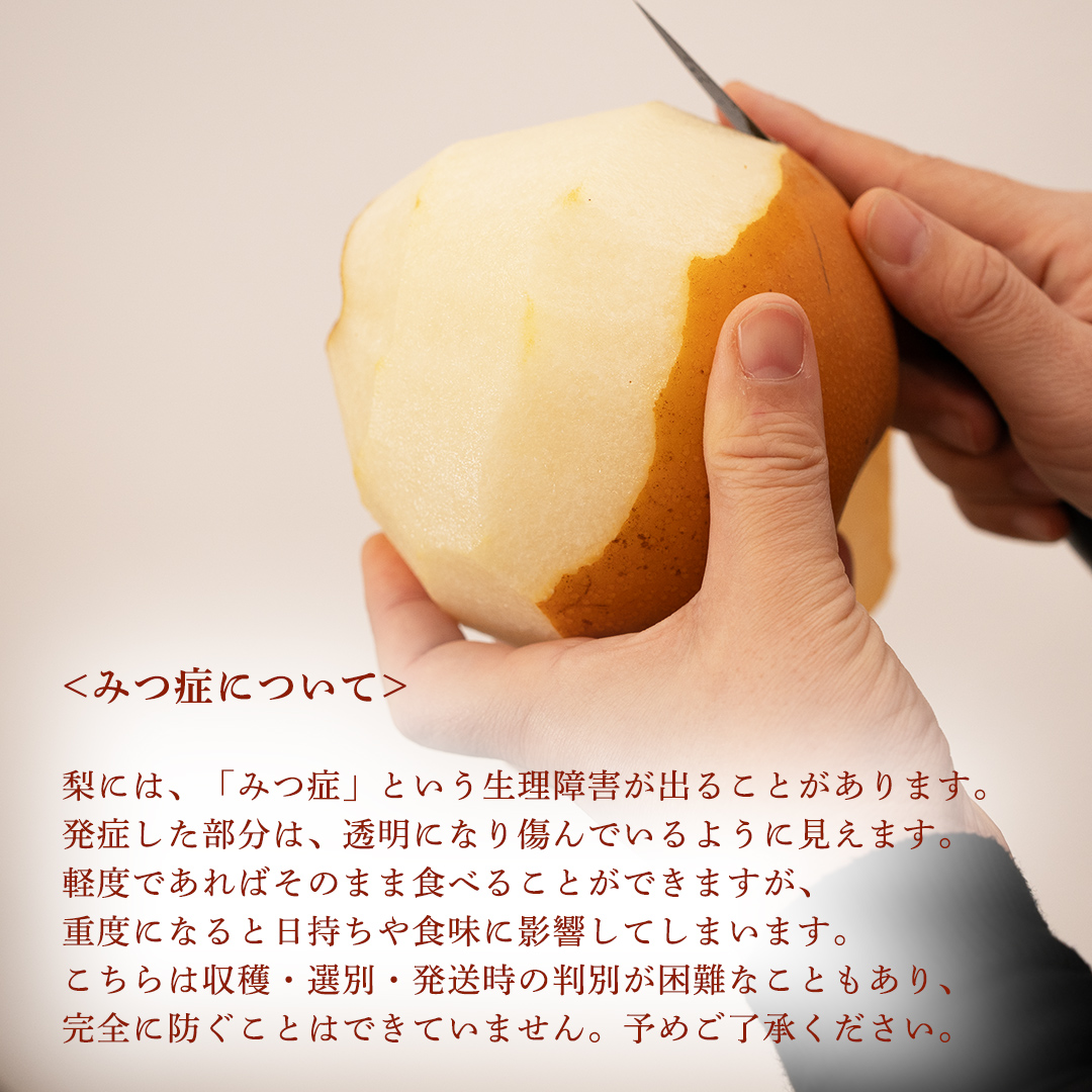 ＜農家直送＞梨 茨城県オリジナルブランド品種 恵水 大玉サイズ4～6個(約3kg)  (BB004)