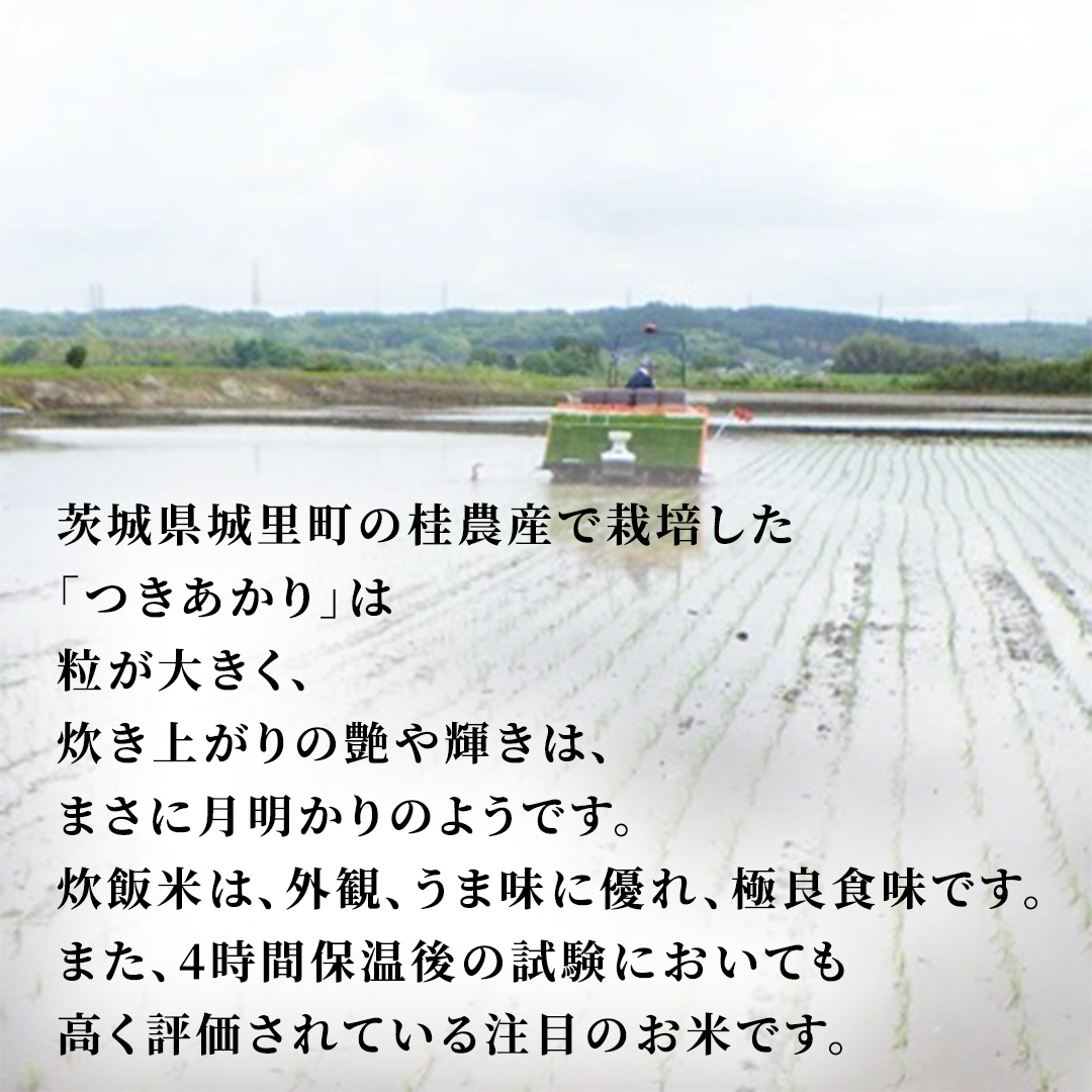 つきあかり 15kg (5kg×3袋) 令和7年産 精米 茨城県 城里町産 (AX069)