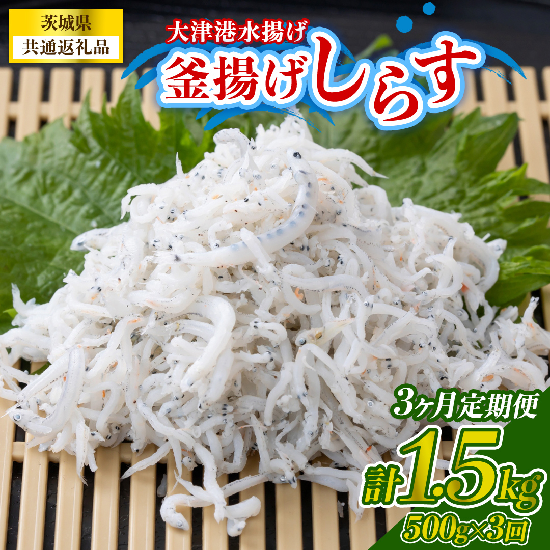 【3回 定期便】大津港水揚げの釜揚げしらす 500g(250g×2パック) (茨城県共通返礼品:北茨城市) （BC020）