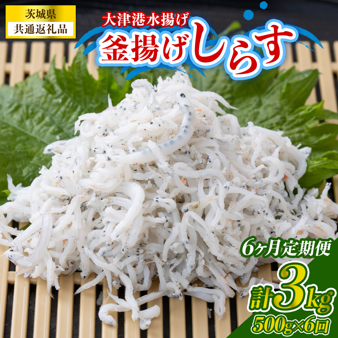 【6回定期便】大津港水揚げの釜揚げしらす 500g(250g×2パック) (茨城県共通返礼品:北茨城市) (BC021)