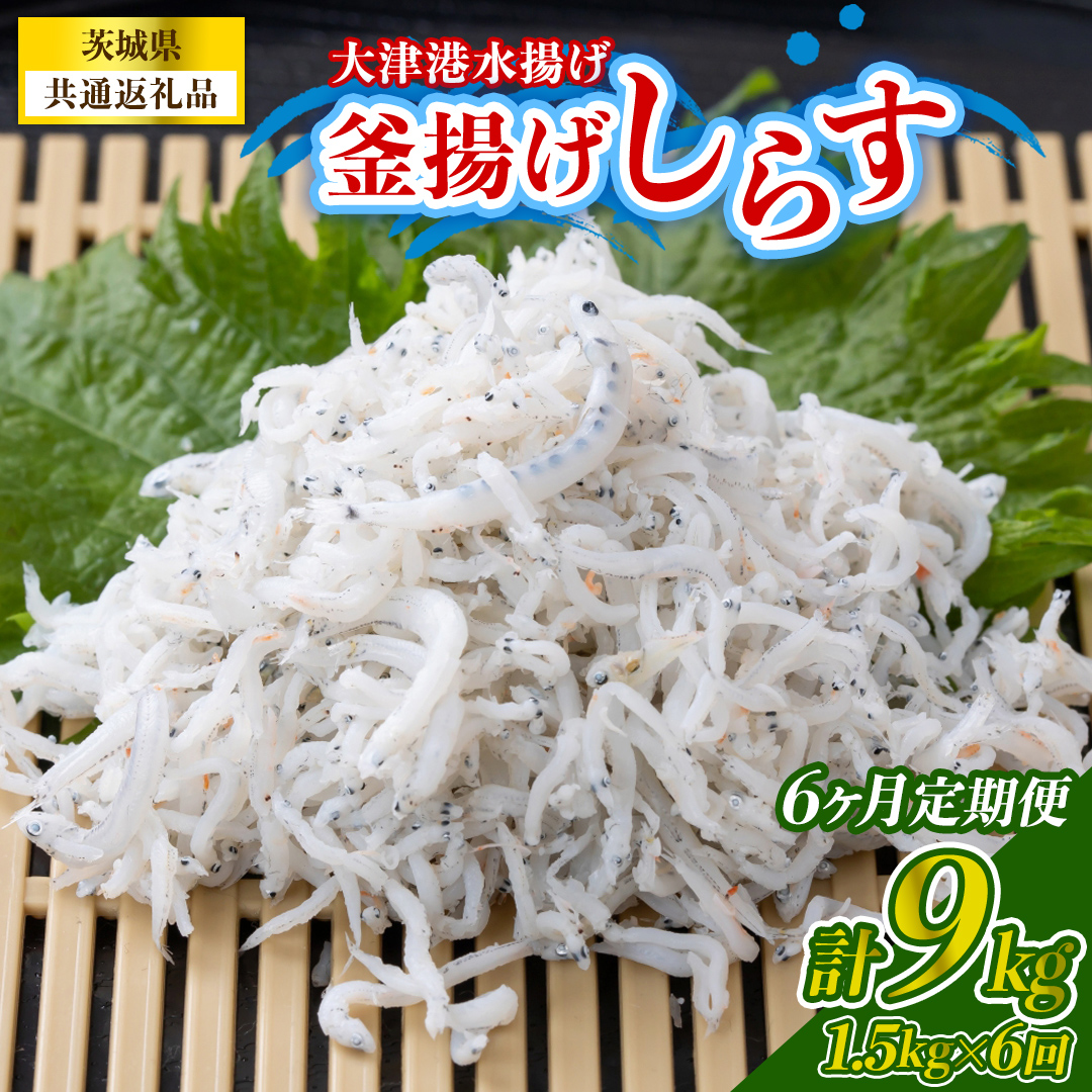 【6回定期便】大津港水揚げの釜揚げしらす 1.5kg(250g×2パック×3箱) (茨城県共通返礼品:北茨城市) (BC027)