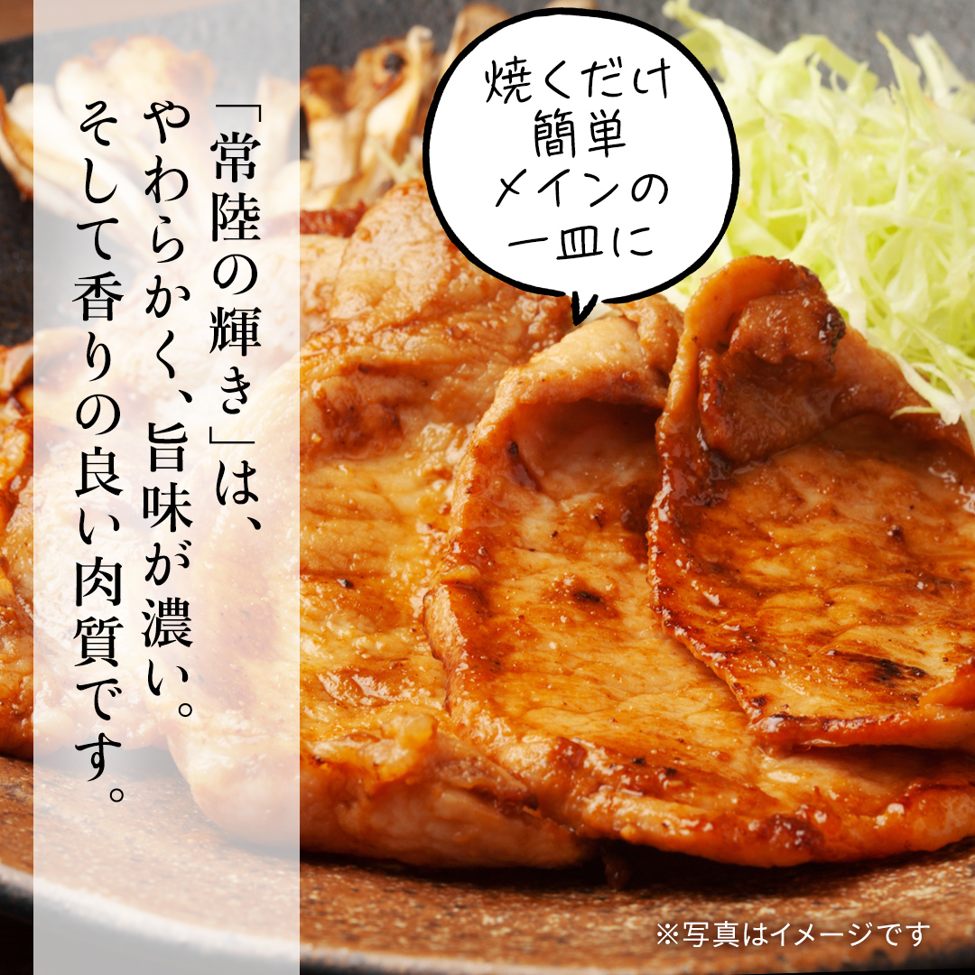 【 6カ月 定期便 】茨城県 銘柄豚 「 常陸の輝き 」豚ロース 味噌漬け 6枚入 （ 100g × 6枚 ）（AP017）