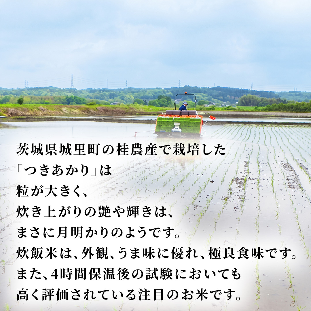 ≪新米≫ 【 6ヵ月定期便 】つきあかり 5kg ×6回 令和8年産 精米 産地直送 茨城県 城里町 新米 精白米 米 ご飯 こしひかり 米 白米 精米 単一原料米 (AX076)