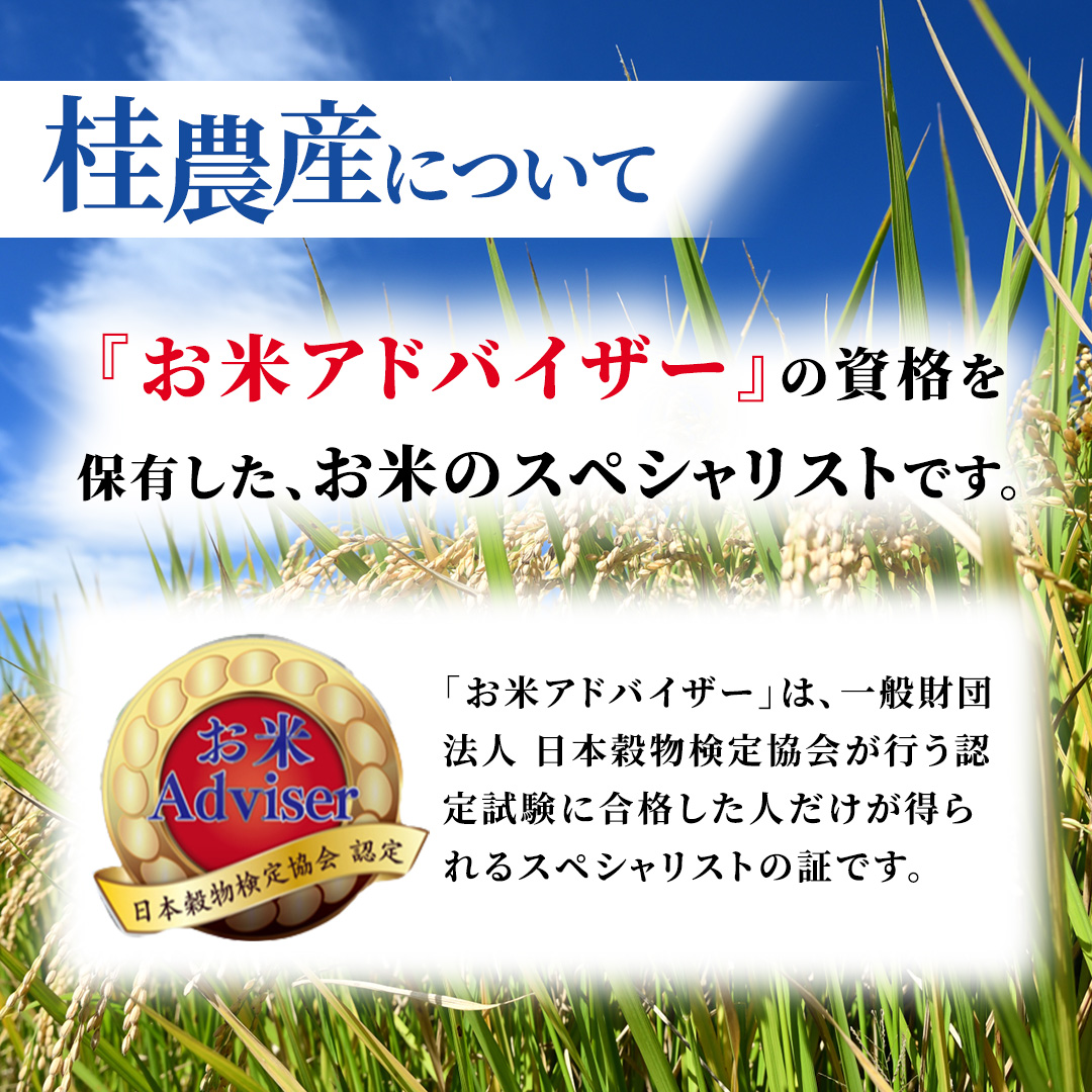 ≪新米≫ 【 6ヵ月定期便 】つきあかり 5kg ×6回 令和8年産 精米 産地直送 茨城県 城里町 新米 精白米 米 ご飯 こしひかり 米 白米 精米 単一原料米 (AX076)
