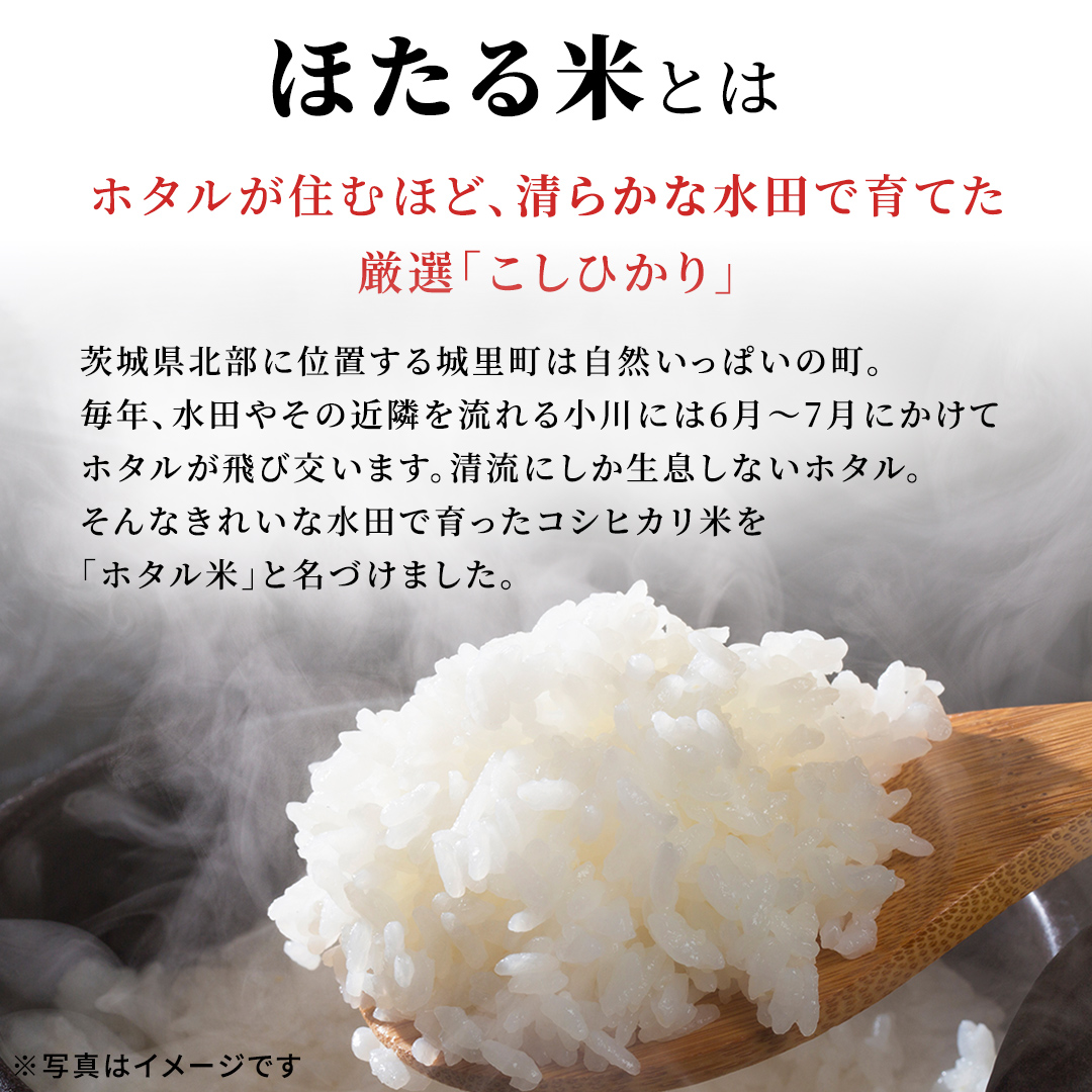 3ヵ月定期便 【無洗米】コシヒカリ ホタル米 10kg × 3ヶ月 新米 (AX083)