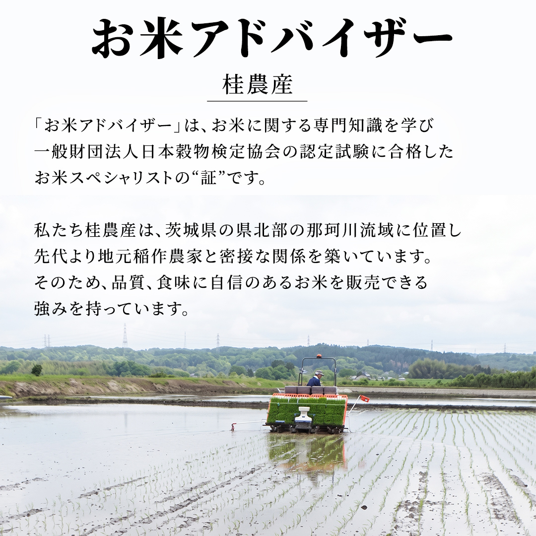 3ヵ月定期便 【無洗米】コシヒカリ ホタル米 10kg × 3ヶ月 新米 (AX083)