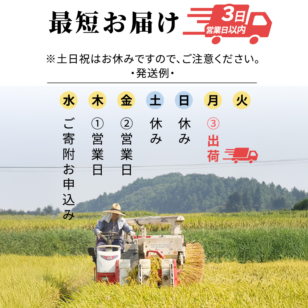 【新米】 コシヒカリ 精米 10kg  スピード発送 スピード出荷 最短3～7営業日出荷 即納 産地直送 茨城県 城里町 新米 精白米 米 ご飯 こしひかり 米 白米 精米 単一原料米 (AX029)