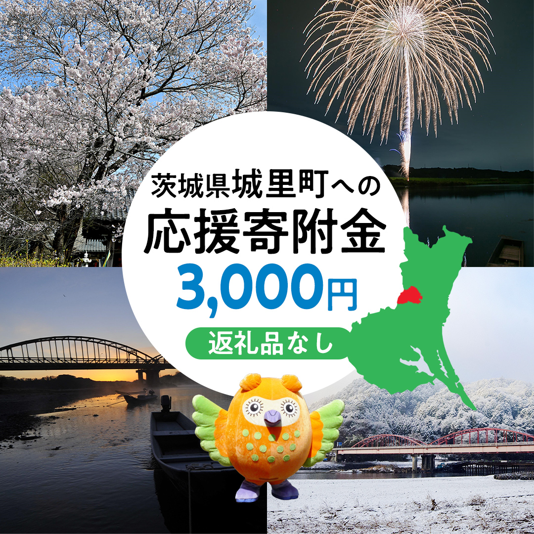 【 返礼品なし 】 茨城県 城里町 ふるさと応援寄附金 ( 3,000円 ) [ZZ001]