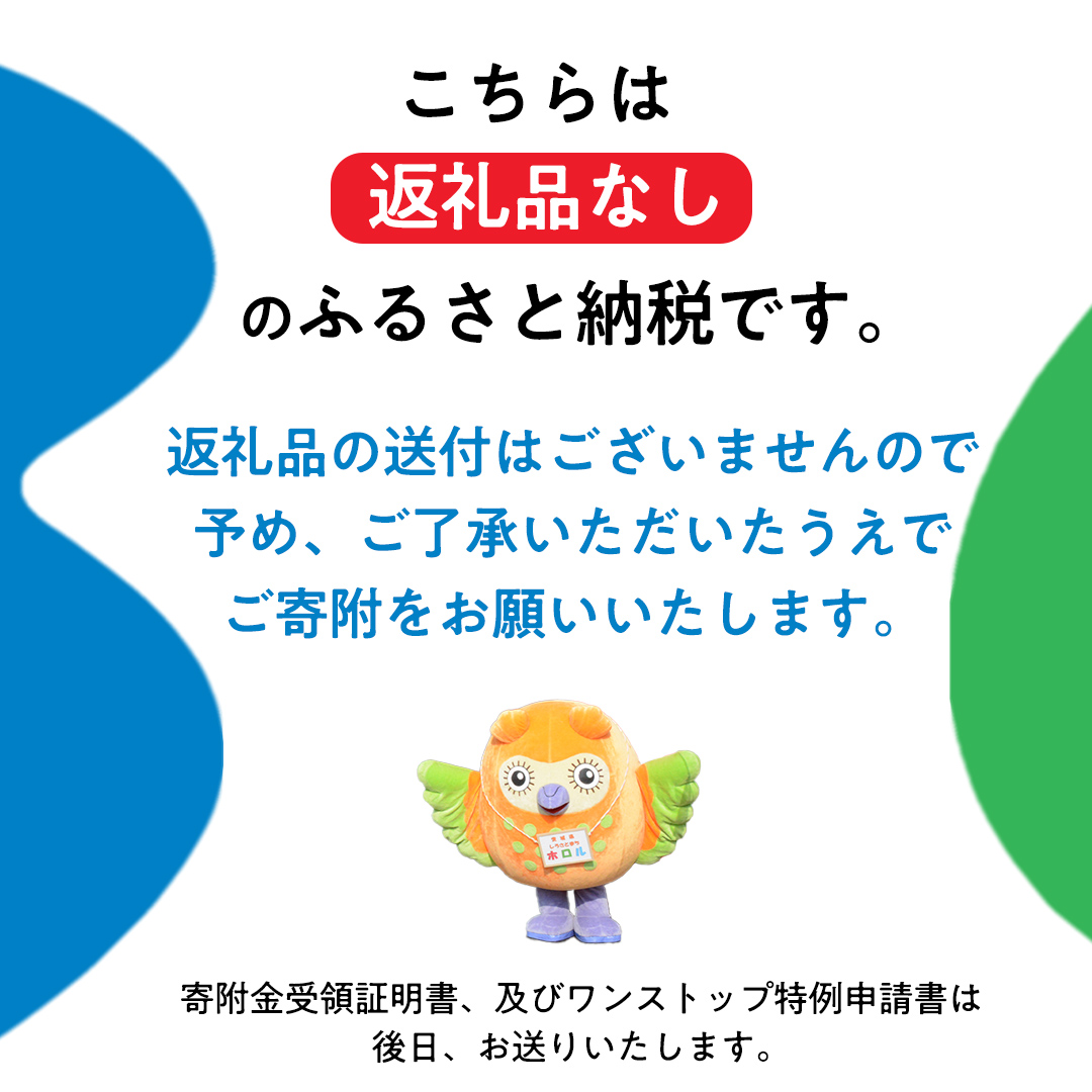 【 返礼品なし 】 茨城県 城里町 ふるさと応援寄附金 ( 3,000円 ) [ZZ001]
