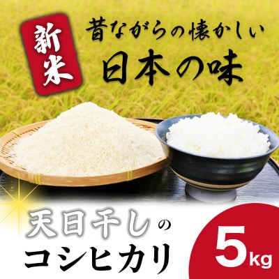 令和6年産新米コシヒカリ精米5kg 昔ながらの天日干し【配送不可地域：離島】【1545978】