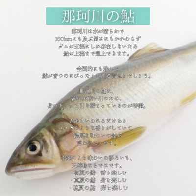 那珂川の天然鮎　10~15cm程度　若鮎　小サイズ　500g【配送不可地域：離島】【1430759】