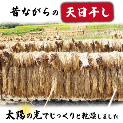 令和6年産新米コシヒカリ精米5kg 昔ながらの天日干し【配送不可地域：離島】【1545978】