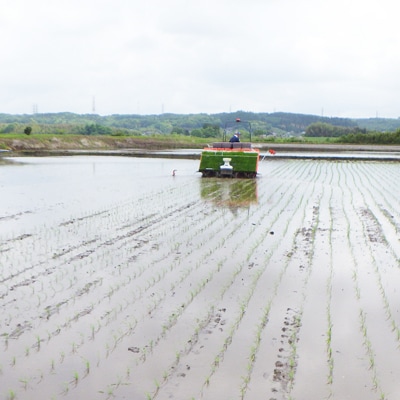 【令和6年産】城里町内・桂農産の【ふくまる】5kg(精米)【配送不可地域：離島】【1318064】