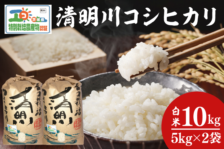 04-02 茨城県特別栽培認証 清明川コシヒカリ白米5kg×2袋【令和6年産新米】【米 おこめ こしひかり  特別栽培米 農家直送 直送 茨城県 阿見町】