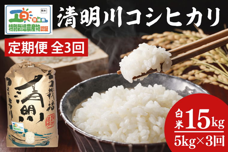 04-03【3ヶ月定期便】茨城県特別栽培認証 清明川コシヒカリ白米5kg【令和6年産新米】【米 おこめ こしひかり  特別栽培米 農家直送 直送 茨城県 阿見町】