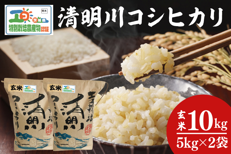 04-20 茨城県特別栽培認証 清明川コシヒカリ玄米 5kg×2袋【令和6年産新米】【米 おこめ こしひかり  特別栽培米 農家直送 直送 茨城県 阿見町】