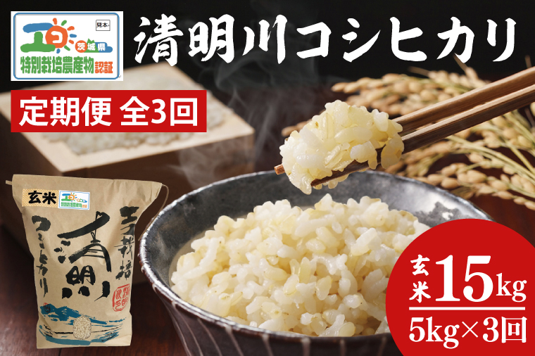 04-21【3ヶ月定期便】茨城県特別栽培認証 清明川コシヒカリ玄米 5kg【令和6年産新米】【米 おこめ こしひかり  特別栽培米 農家直送 直送 茨城県 阿見町】