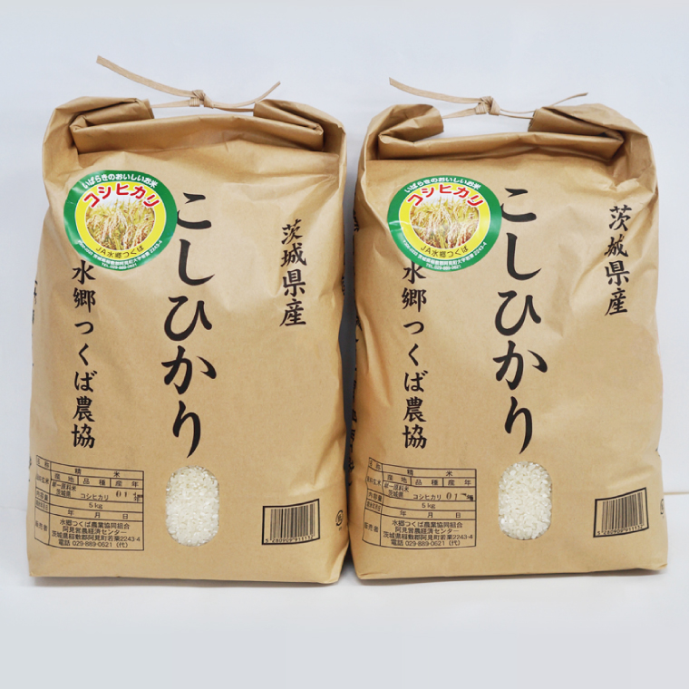 茨城県産阿見町産こしひかり つくばのかおり 精米 10kg（5kg×2）｜茨城県産米 ブランド米 お米 白米 ご飯 おにぎり お弁当 人気 国産米 コシヒカリ（20-02-1）