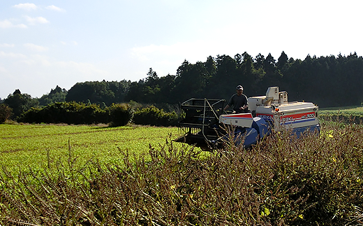 10-02 国産黒えごま油200g(100g×2本)【エゴマ 油 国産  阿見町 小分け 個包装 オメガ3 エゴマ油 えごま エゴマオイル 荏胡麻油】