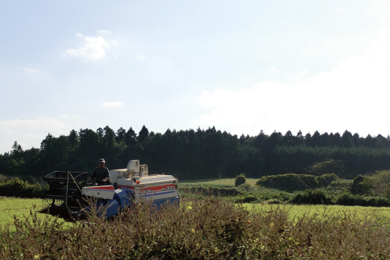 10-03 国産黒えごま油100g・すりえごま100gセット【エゴマ 油 国産  阿見町 小分け 個包装 オメガ3 エゴマ油 えごま エゴマオイル 荏胡麻油】