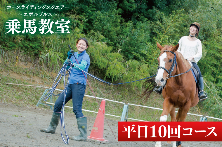 28-03 乗馬チケット 平日 10回 コース ホースライディングスクエア エボルブルス【乗馬 チケット 回数券 茨城県 阿見町】