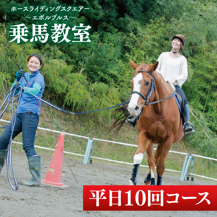 28-03 乗馬チケット 平日 10回 コース ホースライディングスクエア エボルブルス【乗馬 チケット 回数券 茨城県 阿見町】