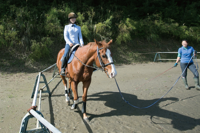 28-03 乗馬チケット 平日 10回 コース ホースライディングスクエア エボルブルス【乗馬 チケット 回数券 茨城県 阿見町】