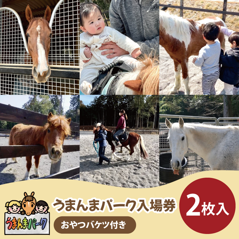 うまんまパーク 入場券 チケット おやつバケツ付き 2枚セット 馬 ふれあい 触れ合い パーク 牧場 乗馬 体験 観光 体験型 レジャー エサやり 引退競走馬 ポニー 癒し 関東 茨城県 阿見町（55-01）
