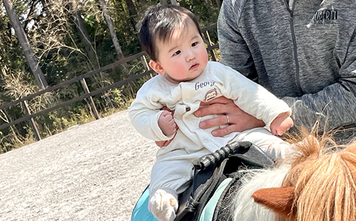 55-01 うまんまパーク入場券（おやつバケツ付き）2枚セット【馬 パーク 牧場 乗馬 入場券 茨城県 阿見町】