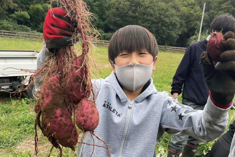 56-06 生芋10kg　S～Lサイズ混合 1箱【サツマイモ さつま芋 さつまいも 芋 いも 野菜  紅はるか 茨城県 阿見町 阿見 15000円以内】