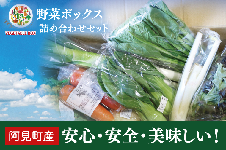 04-05 阿見町産野菜ボックス詰め合わせセット（7～8品）【新鮮 美味しい EM菌 減農薬 有機肥料 阿見町 茨城県】