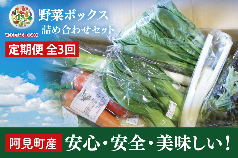 04-06【3ヶ月定期便】阿見町産野菜ボックス詰め合わせセット（7～8品）【新鮮 美味しい EM菌 減農薬 有機肥料 阿見町 茨城県】