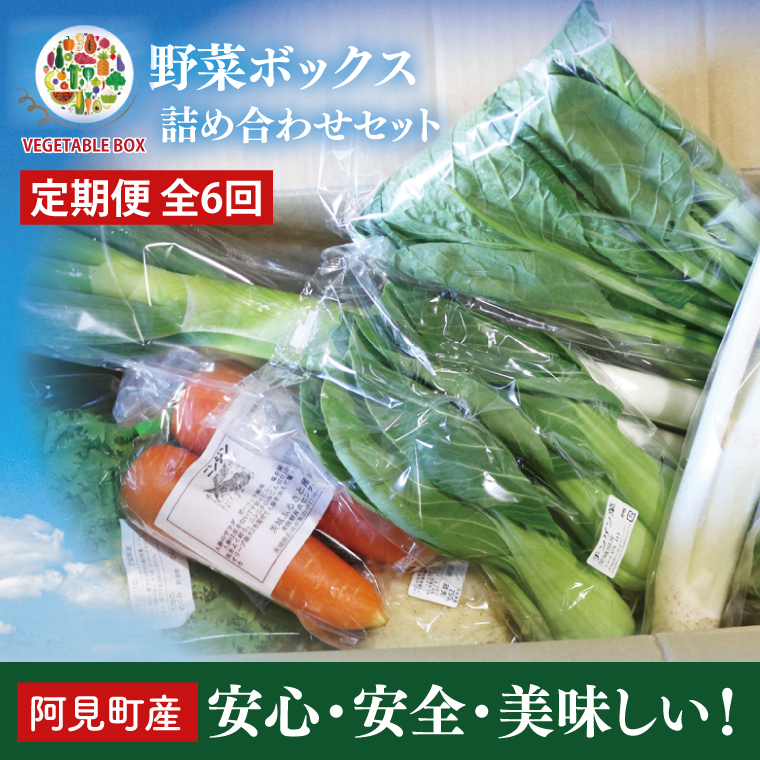 04-07【6ヶ月定期便】阿見町産野菜ボックス詰め合わせセット（7～8品）【新鮮 美味しい EM菌 減農薬 有機肥料 阿見町 茨城県】
