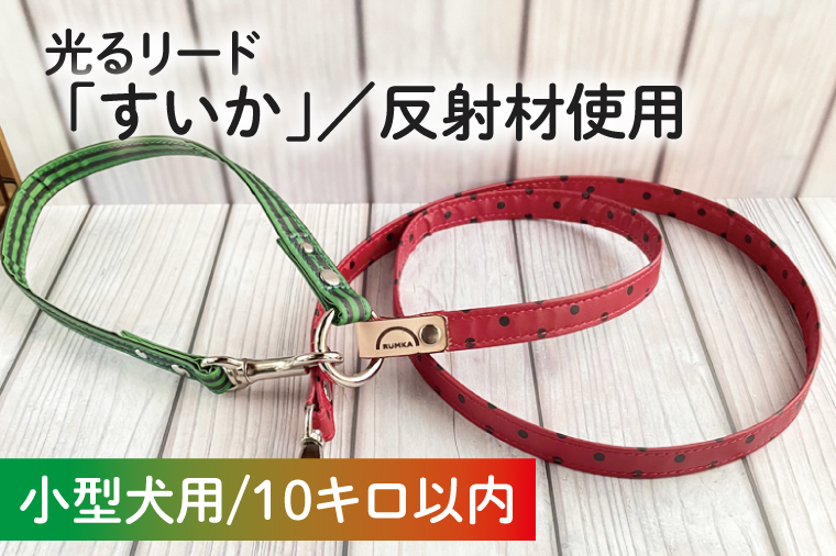 40-13 【小型犬用10キロまで】光るリード「すいか」【散歩 愛犬 夜散歩 手作り 阿見町 茨城県】