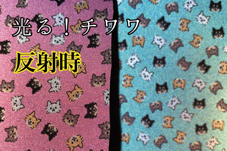 40-17 【小型犬用5キロまで】光るリード　チワワ（ブルー）【散歩 愛犬 夜散歩 手作り 阿見町 茨城県】