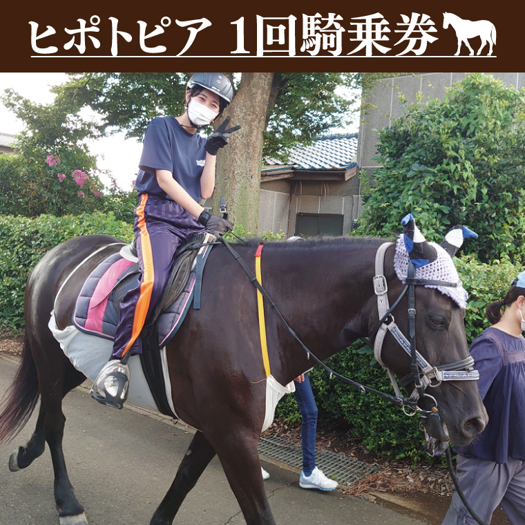43-01 ヒポトピア １回騎乗券【乗馬 ホースセラピー 馬 ふれあい レッスン 阿見町 茨城県】