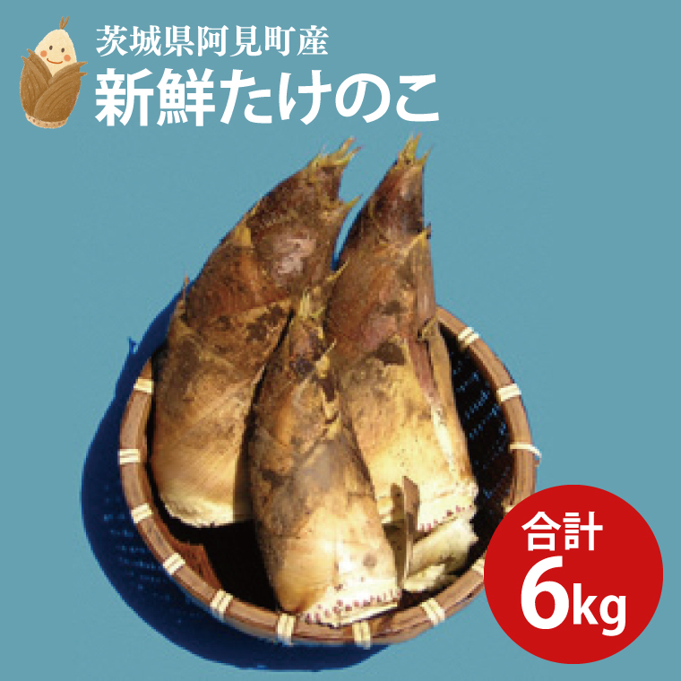 【先行予約】【2026年4月初旬より発送開始】茨城県阿見町産 たけのこ6kg｜朝採れ 旬  春限定 数量限定 国産 タケノコ 筍 孟宗竹 無農薬 常温発送 産地直送（23-01）