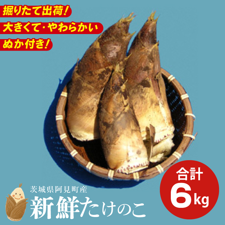 【先行予約】【2026年4月初旬より発送開始】茨城県阿見町産 たけのこ6kg｜朝採れ 旬  春限定 数量限定 国産 タケノコ 筍 孟宗竹 無農薬 常温発送 産地直送（23-01）