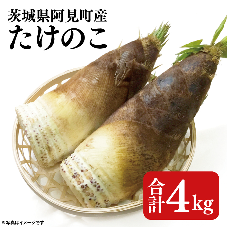 【2025年4月中旬～5月初旬にお届けの期間限定】茨城県阿見町産たけのこ4kg【タケノコ 筍 春 旬】（26-01）