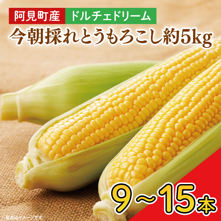 【先行予約】阿見町産 今朝採れとうもろこし約5kg（ドルチェドリーム・9本～15本）【茨城県 阿見町  国産 甘い 朝採り 野菜 コーン バイカラー 送料無料】（04-22）