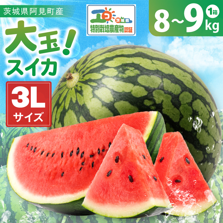 先行予約 大玉スイカ 3L サイズ 茨城県産 茨城県 阿見町 1玉 すいか 西瓜 果物 くだもの フルーツ 国産 甘い 大玉 スイカ 通販 お取り寄せ シャリ感 みずみずしい 完熟 高糖度 大きい こだわり栽培 特別栽培 旬 産地直送 数量限定 期間限定 送料無料 【先行予約｜2026年6月上旬より順次発送】（04-25）