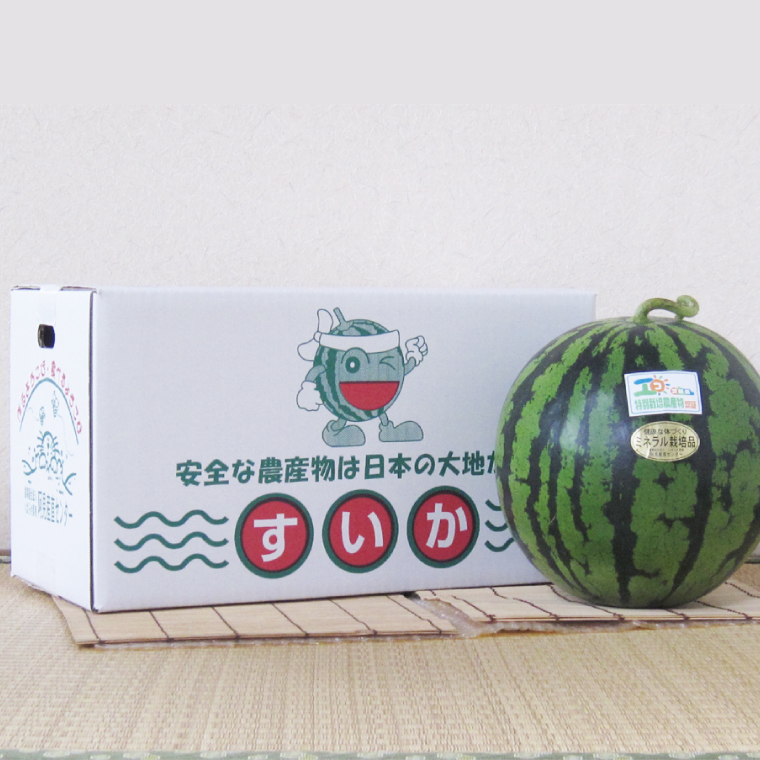 【先行予約】茨城県産大玉スイカ4Lサイズ（9～10kg）【茨城県 阿見町 スイカ 1玉 すいか 西瓜 果物 くだもの フルーツ 国産 甘い 送料無料】（04-26）