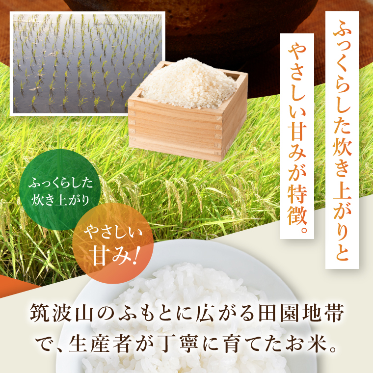 茨城県産阿見町産こしひかり つくばのかおり 精米 10kg（5kg×2）｜茨城県産米 ブランド米 お米 白米 ご飯 おにぎり お弁当 人気 国産米 コシヒカリ（20-02-1）