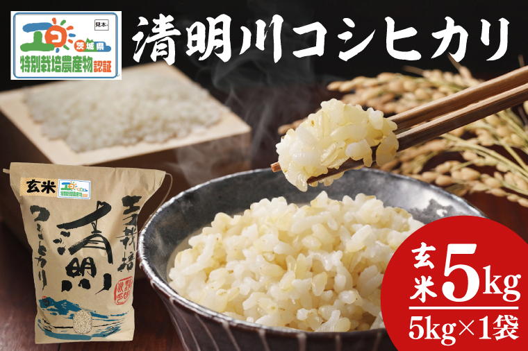 04-19 茨城県特別栽培認証 清明川コシヒカリ玄米 5kg【令和6年産新米】【米 おこめ こしひかり  特別栽培米 農家直送 直送 茨城県 阿見町】